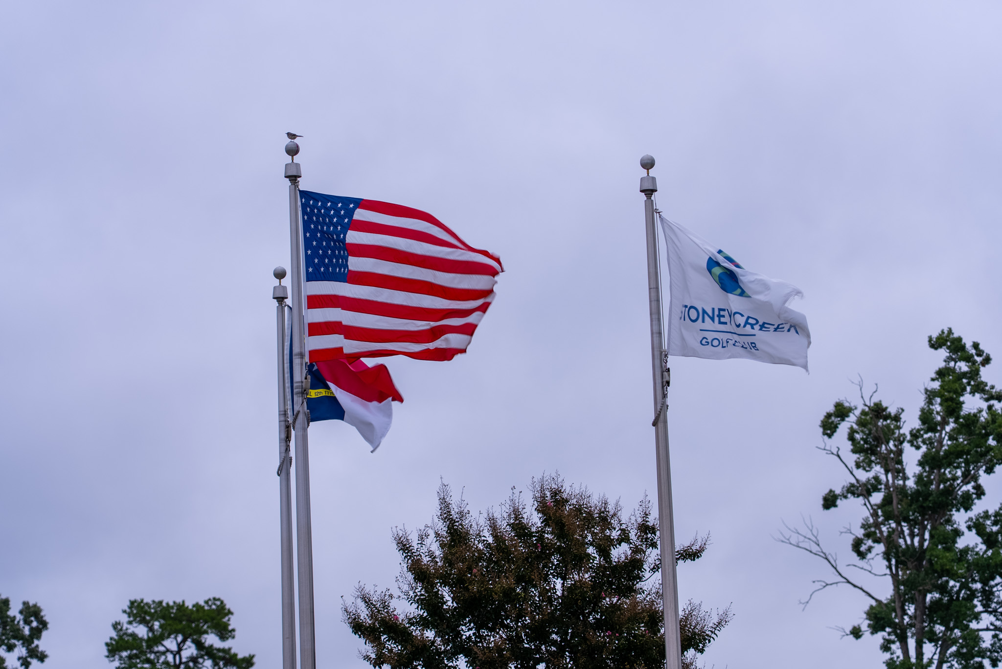 US, North Carolina, and Stoney Creek Golf Club flags against overcast sky